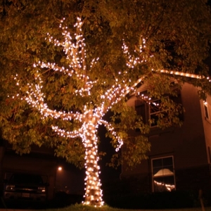Photo of Illuminate Lighting