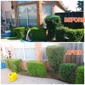 Photo of Arboreal Lawn & Landscape