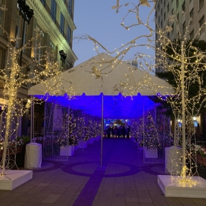 Photo of Fulton Alley