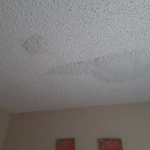 Photo of Maxima Property Management