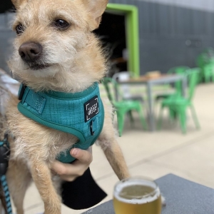 Photo of Third Space Brewing