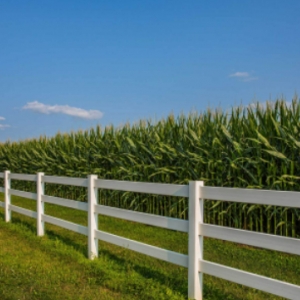 Photo of Harbison Fencing