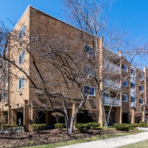 Photo of Roz Byrne - ROZ Real Estate