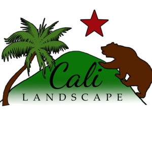 Photo of Cali Landscape