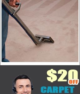 Photo of The Murphy Carpet Cleaning
