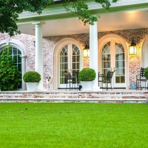 Photo of Magnolia Turf