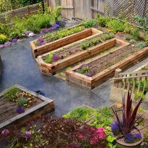 Photo of EcoSynthesis Design