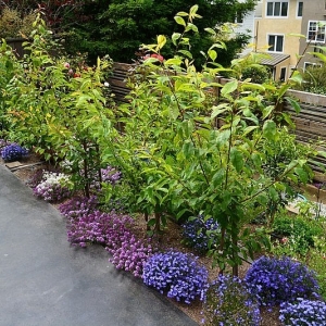 Photo of EcoSynthesis Design