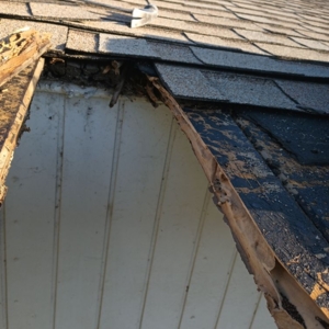 Photo of Genuine Contracting & Restoration