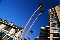Photo of Prince Scott Realty and Tax Services