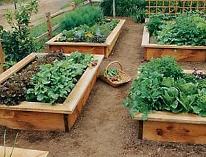 Photo of Simple Man's Lawn & Garden