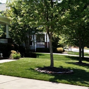 Photo of Simple Man's Lawn & Garden
