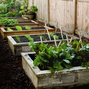 Photo of Simple Man's Lawn & Garden