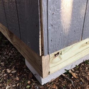 Photo of Tuff Shed