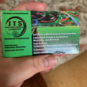 Photo of Julio Tree Service and Landscape