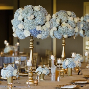 Photo of Yanni Design Studio
