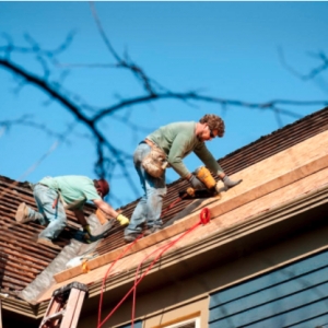 Photo of Colossal Remodeling