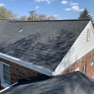 Photo of Colossal Remodeling