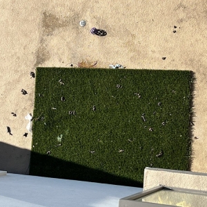 Photo of Vive on the Park