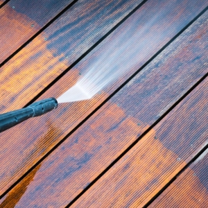 Photo of Alex Painting