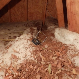 Photo of All Type Insulation Services
