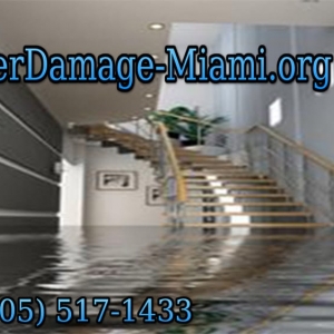 Photo of Miami Water Damage