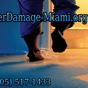 Photo of Miami Water Damage
