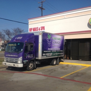 Photo of Vineyard Services