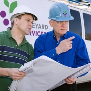 Photo of Vineyard Services