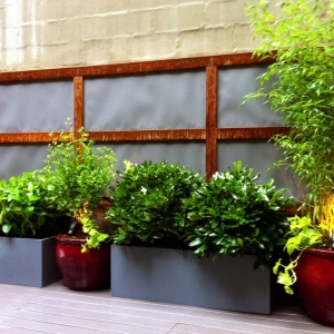 Photo of Amber Freda Landscape Design