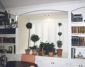 Photo of Shady Lady