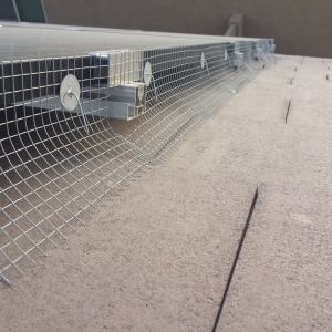 Photo of Professional Pigeon Control