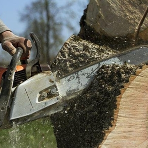 Photo of JE Landscaping Company