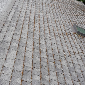 Photo of M&W Roof Service