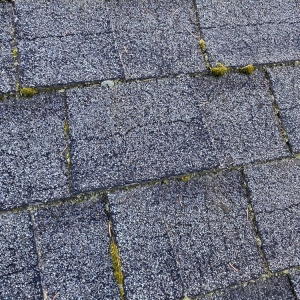 Photo of M&W Roof Service