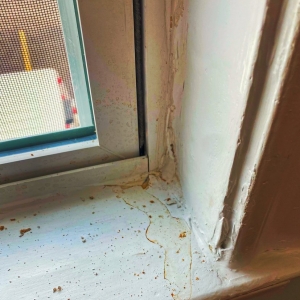 Photo of AJ Glass & Window Repair