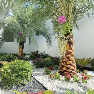 Photo of Project Xerofitus