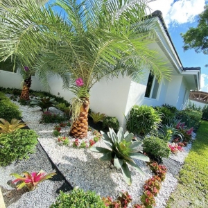 Photo of Project Xerofitus