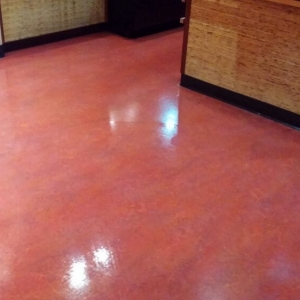 Photo of Praise Cleaning Services