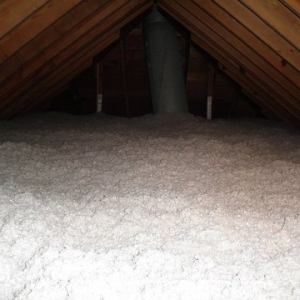 Photo of Green Solutions