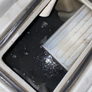 Photo of JBM Steam Cleaning
