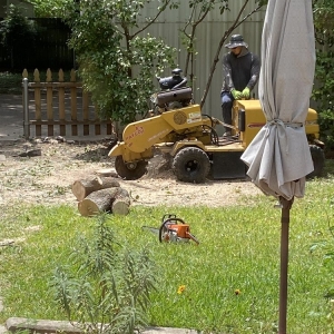 Photo of L & T Landscaping
