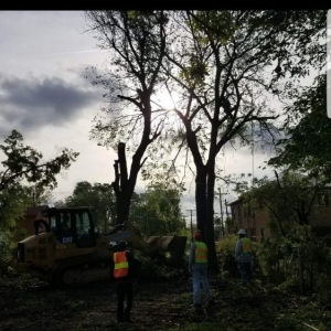 Photo of L & T Landscaping