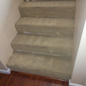 Photo of Allo Boris Carpet Cleaning