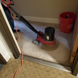 Photo of Allo Boris Carpet Cleaning