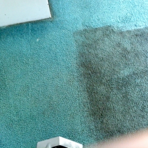 Lebanon AAA Carpet & Upholstery Cleaners