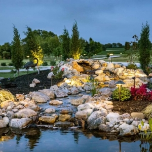 Photo of Swan's Water Gardens