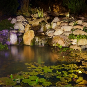 Photo of Swan's Water Gardens