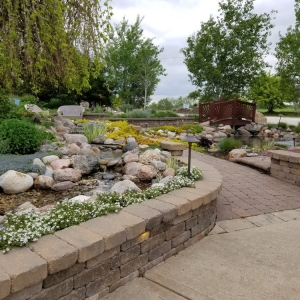 Photo of Swan's Water Gardens