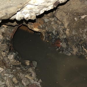 Photo of Advanced Basement Solutions